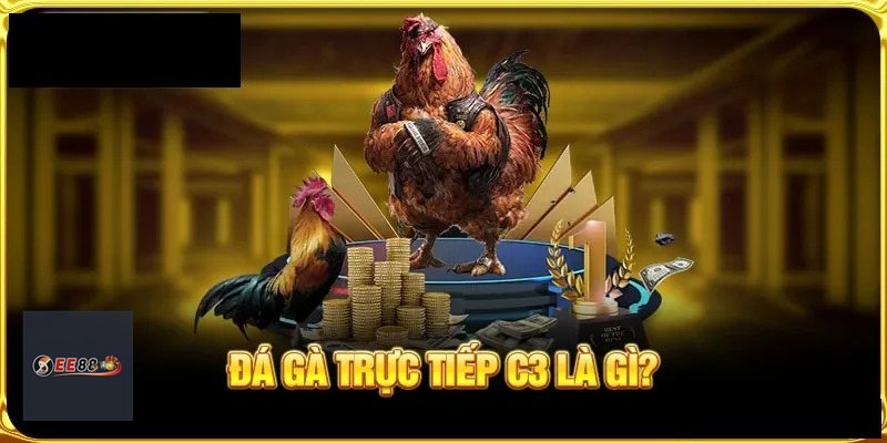 Đá Gà Online MM88: Cách Chơi, Đọc Kèo Và Kinh Nghiệm - ravor.vip Đá Gà Online MM88: Cách Chơi, Đọc Kèo Và Kinh Nghiệm - ravor.vip