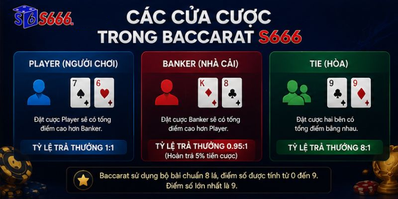 Baccarat S666 – Trải Nghiệm Casino Đẳng Cấp Với Tỷ Lệ Trả Thưởng Hấp Dẫn - ravor.vip
