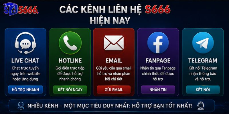 Liên Hệ S666 – Kết Nối Nhanh Chóng, Hỗ Trợ Chuyên Nghiệp 24/7 - ravor.vip