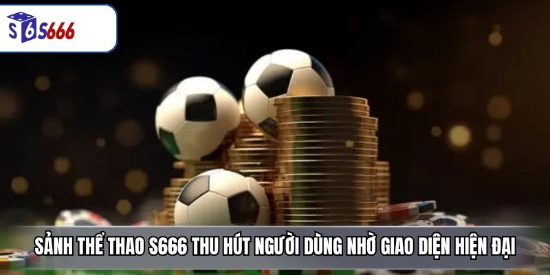Thể Thao S666 – Sảnh Cược Đỉnh Cao Với Tỷ Lệ Kèo Hấp Dẫn - ravor.vip