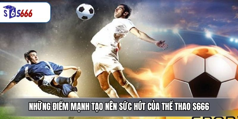 Thể Thao S666 – Sảnh Cược Đỉnh Cao Với Tỷ Lệ Kèo Hấp Dẫn - ravor.vip