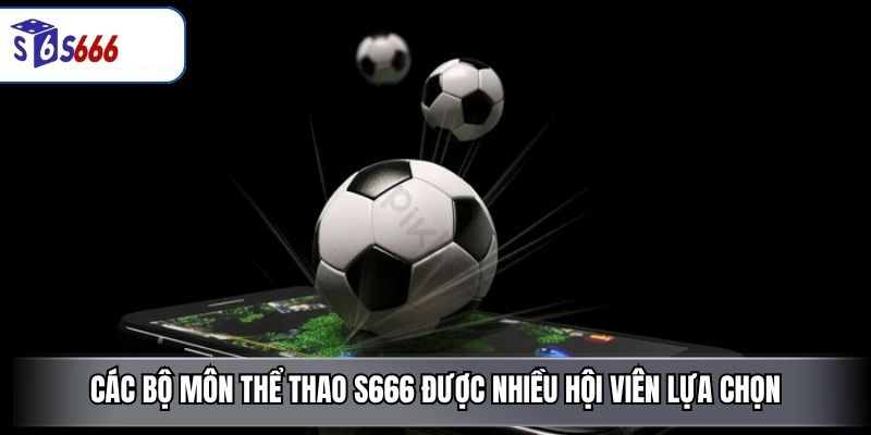 Thể Thao S666 – Sảnh Cược Đỉnh Cao Với Tỷ Lệ Kèo Hấp Dẫn - ravor.vip