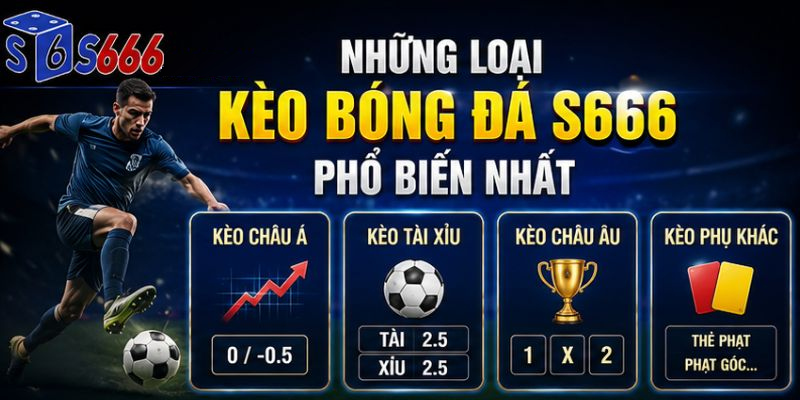 Kèo Bóng Đá S666 – Cập Nhật Tỷ Lệ Kèo Chuẩn Và Hướng Dẫn Cá Cược 2026 - ravor.vip