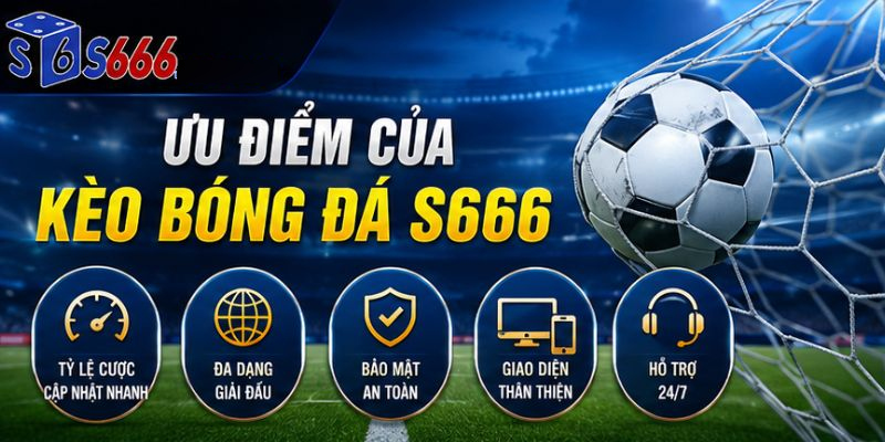 Kèo Bóng Đá S666 – Cập Nhật Tỷ Lệ Kèo Chuẩn Và Hướng Dẫn Cá Cược 2026 - ravor.vip
